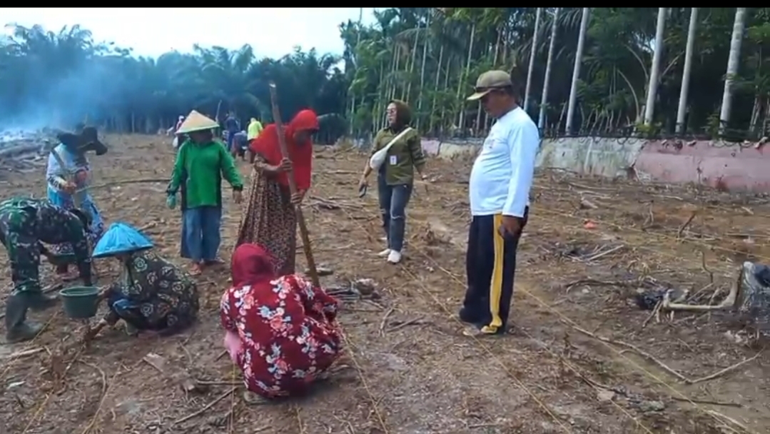 Poto kepala desa jembatan dua kontrol Penanaman jagung