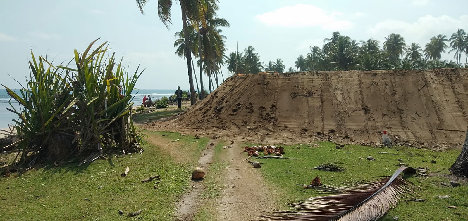 spadan pantai